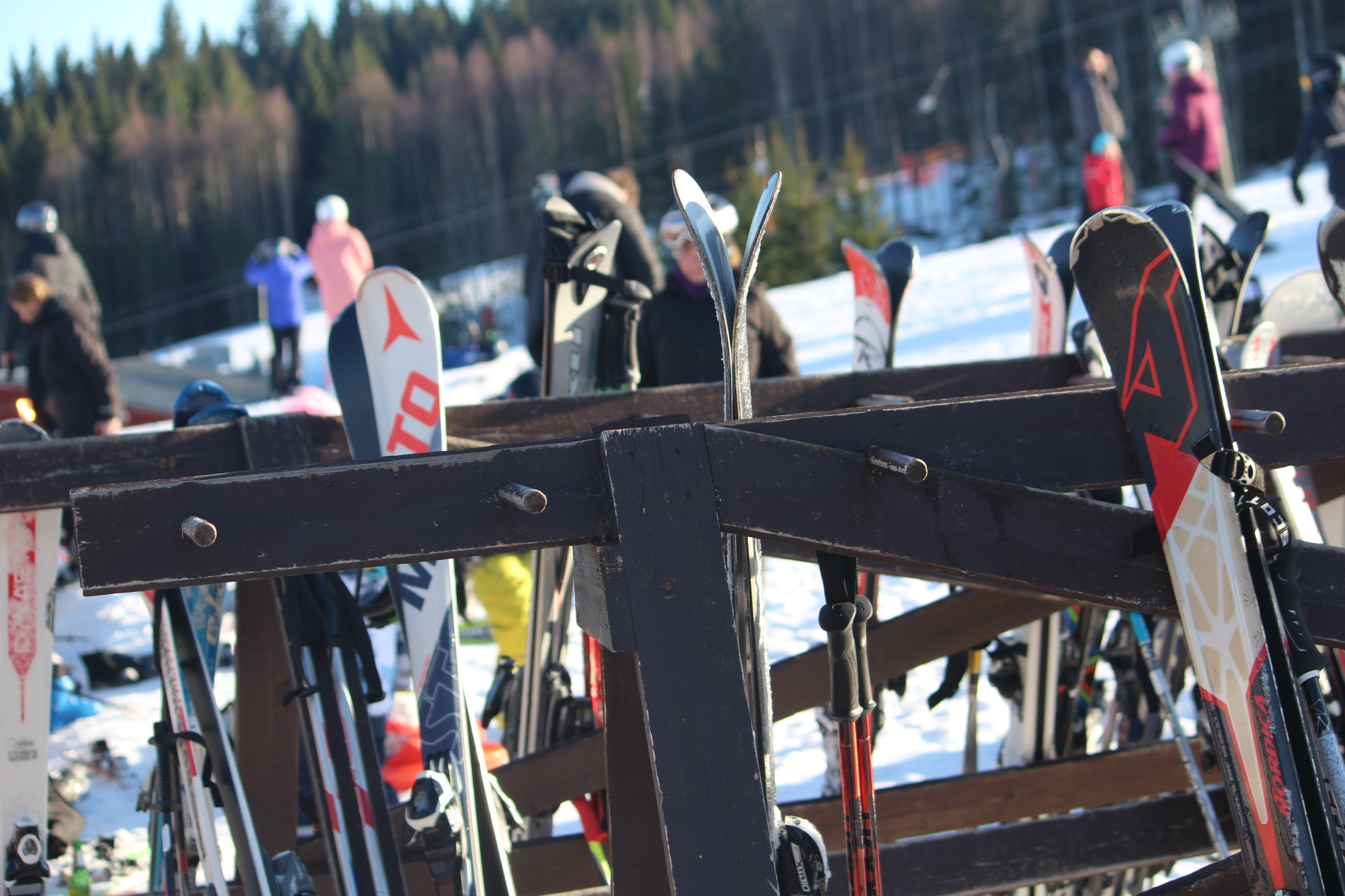 Skid- och vandringsområdet Säfsen